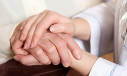 Service Entretien maison et jardin